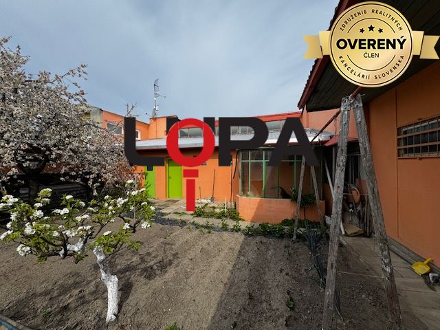 dvor