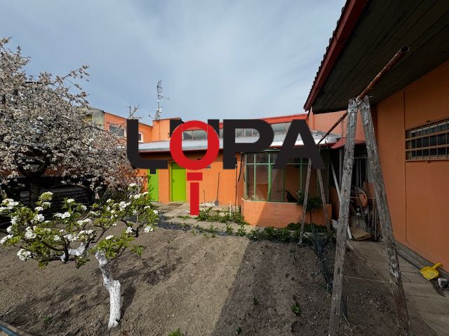 dvor
